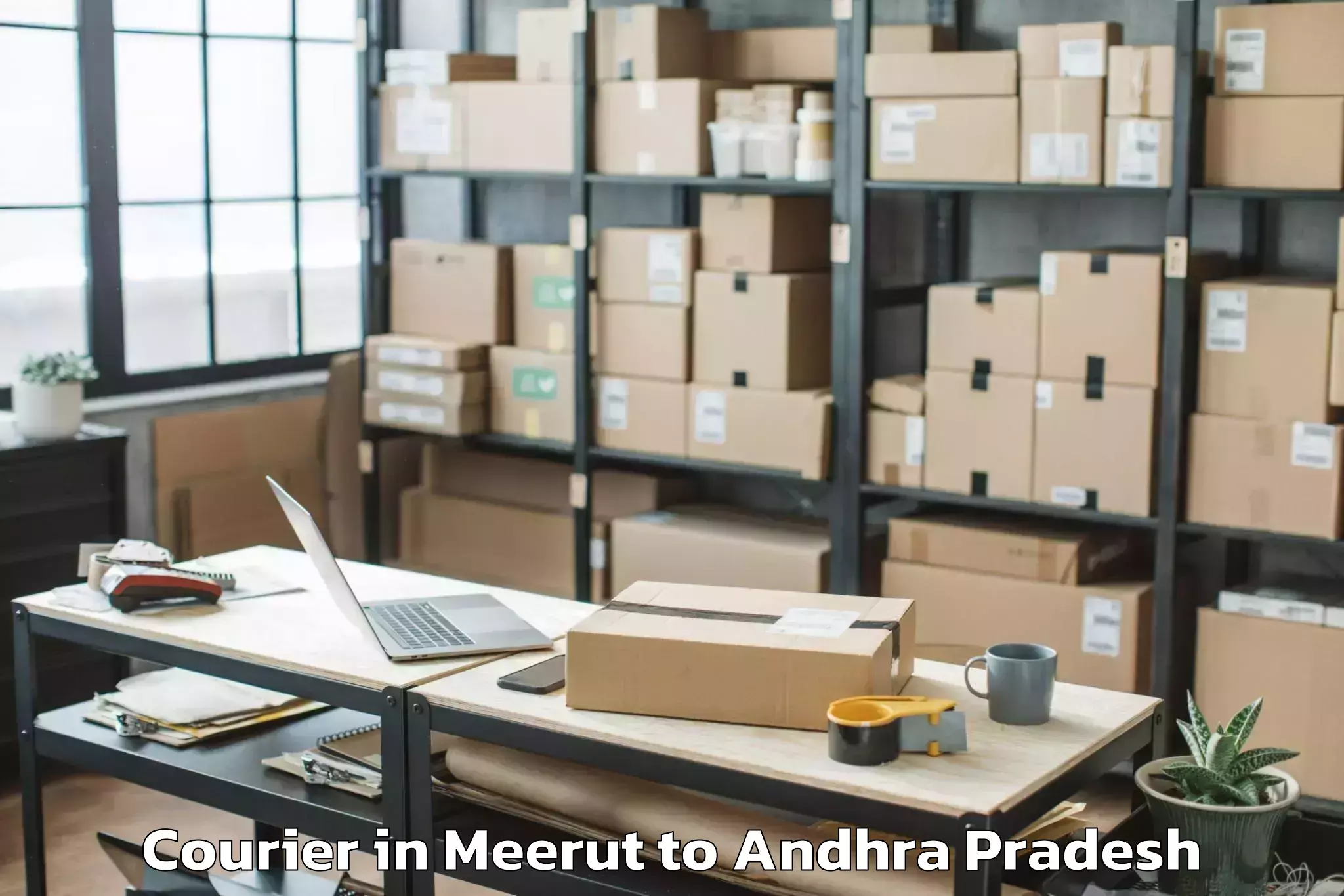 Trusted Meerut to Krishnapatnam Port Courier